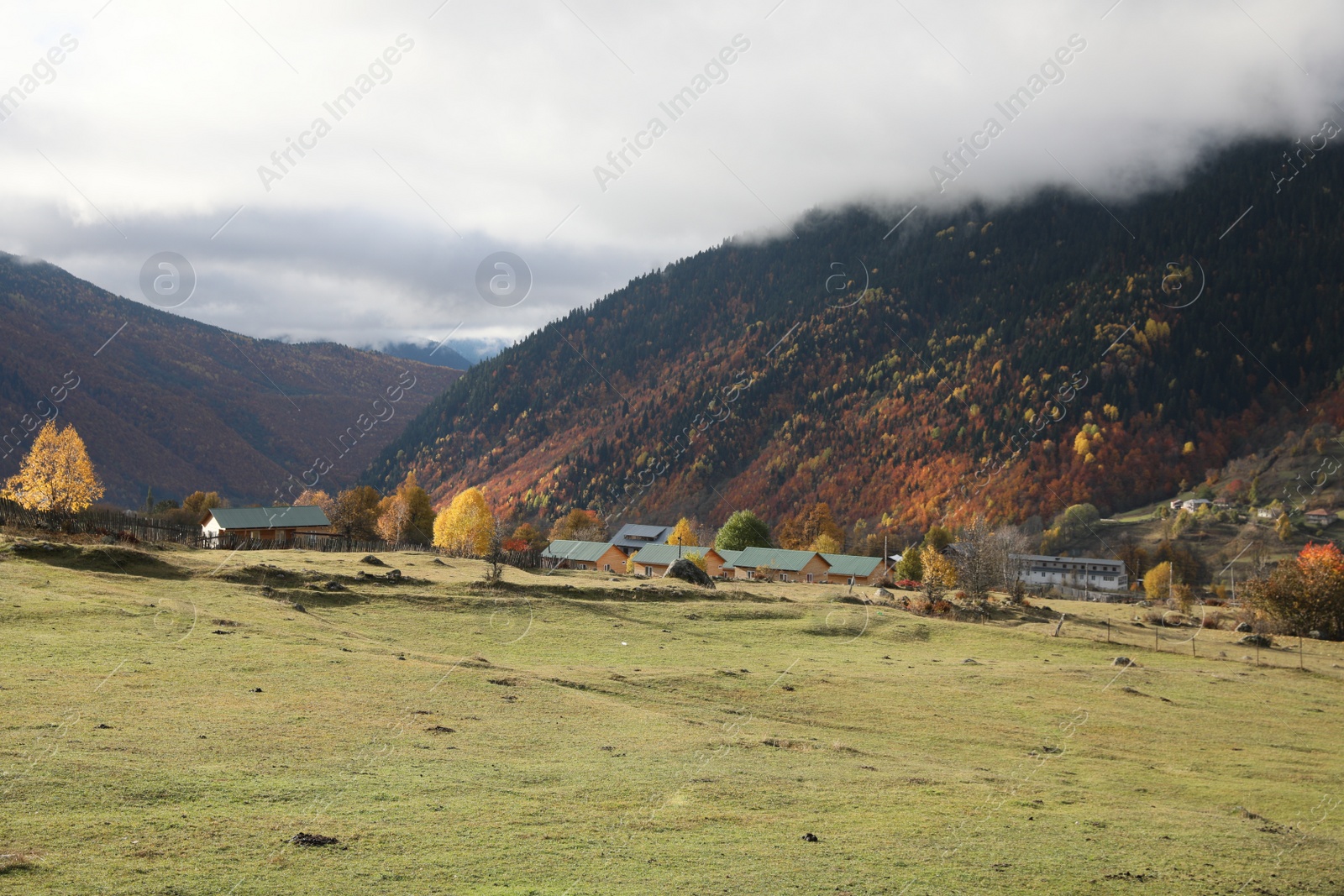 Photo of Picturesque landscape with forest and mountain village on autumn day