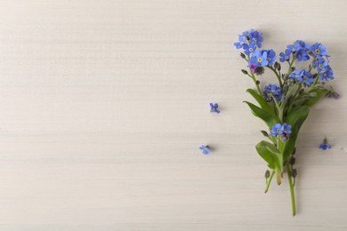 Beautiful blue forget-me-not flowers on white wooden table, top view. Space for text