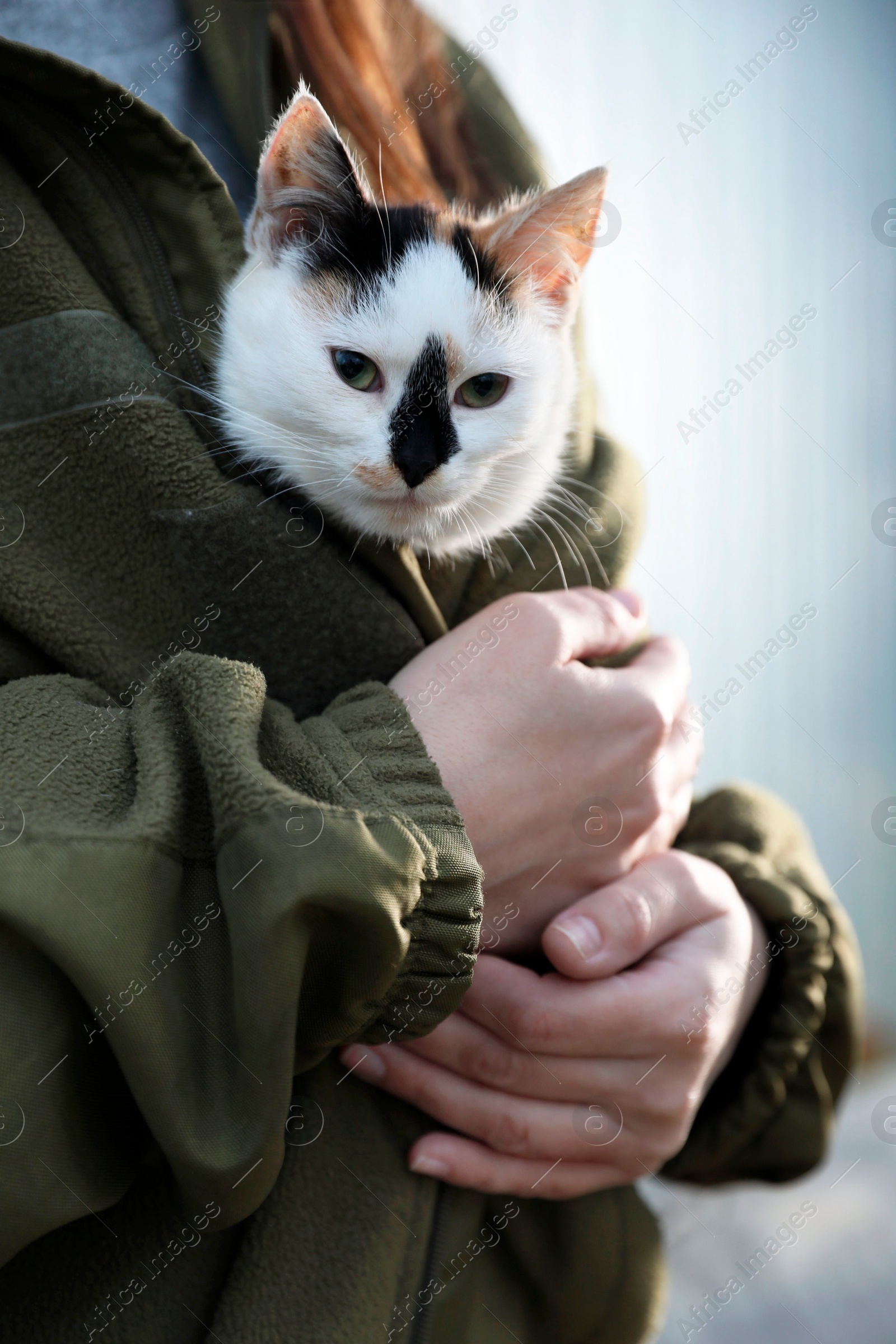 Photo of Soldier in uniform warming little stray cat on blurred background, closeup