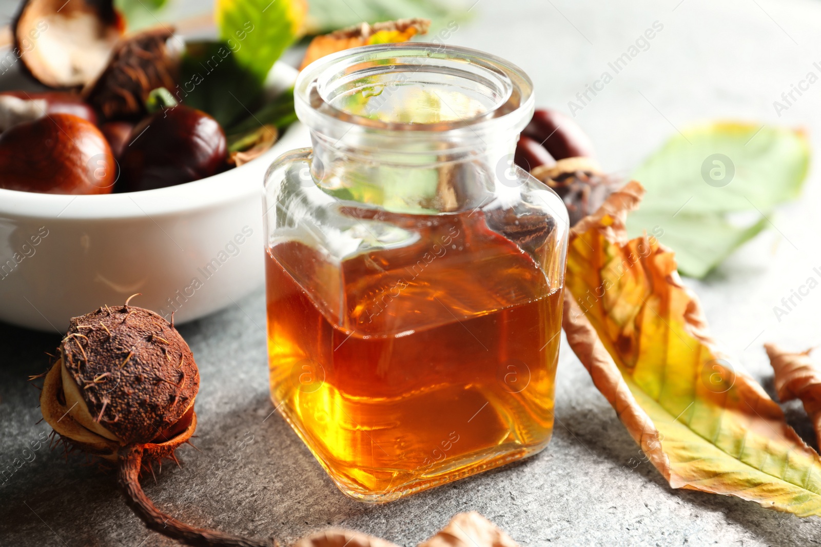 Photo of Horse chestnuts and bottle of tincture on grey table