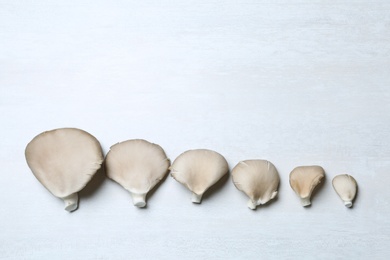 Photo of Flat lay composition with delicious organic oyster mushrooms on light background, space for text