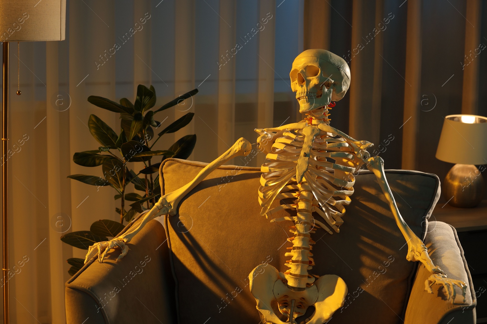 Photo of Waiting concept. Human skeleton sitting in armchair indoors