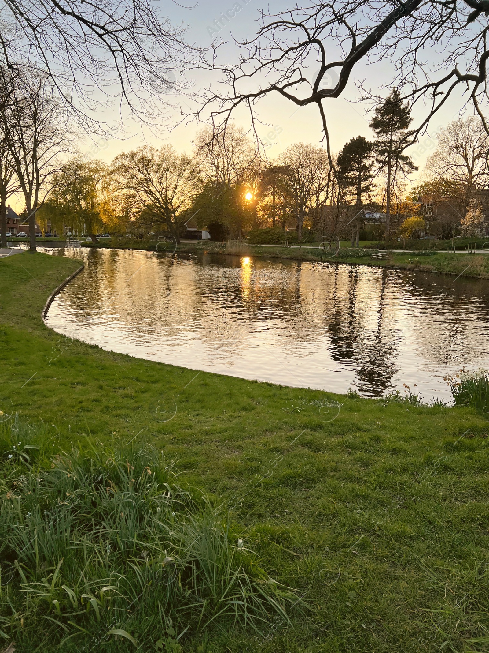 Photo of Picturesque view of beautiful green grass and canal at sunset