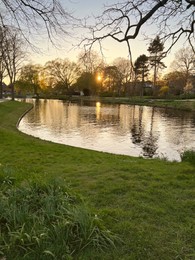 Picturesque view of beautiful green grass and canal at sunset