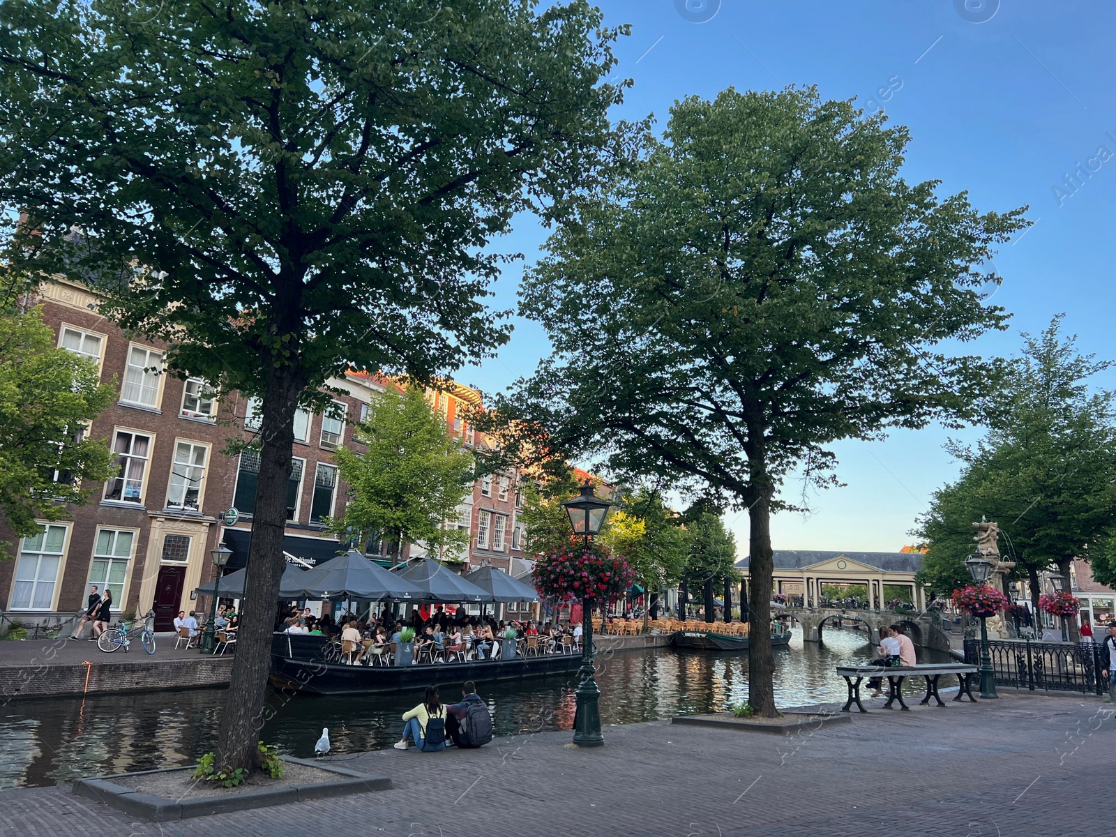 Photo of Leiden, Netherlands - August 1, 2022: Beautiful view of city street with outdoor cafe and trees along canal