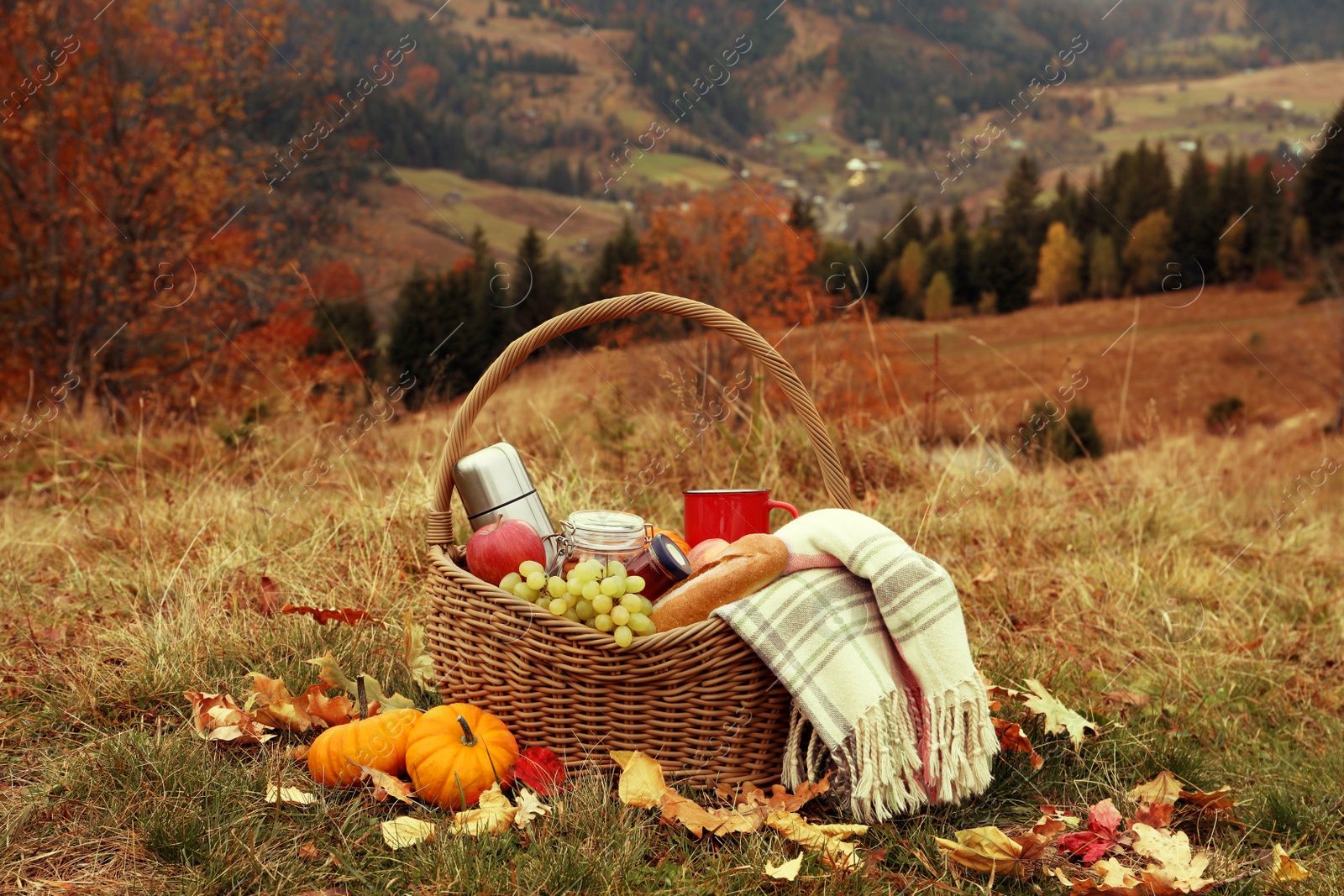 Image of Wicker picnic basket with thermos, snacks and plaid in nature on autumn day