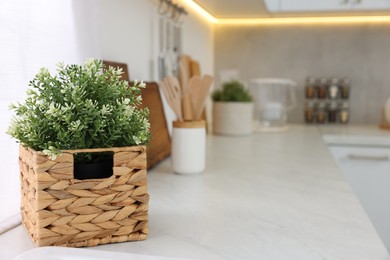 Photo of Beautiful potted artificial plant on countertop in kitchen, space for text. Home decor