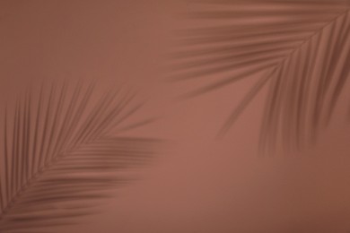 Photo of Shadows of tropical palm branches on brown wall