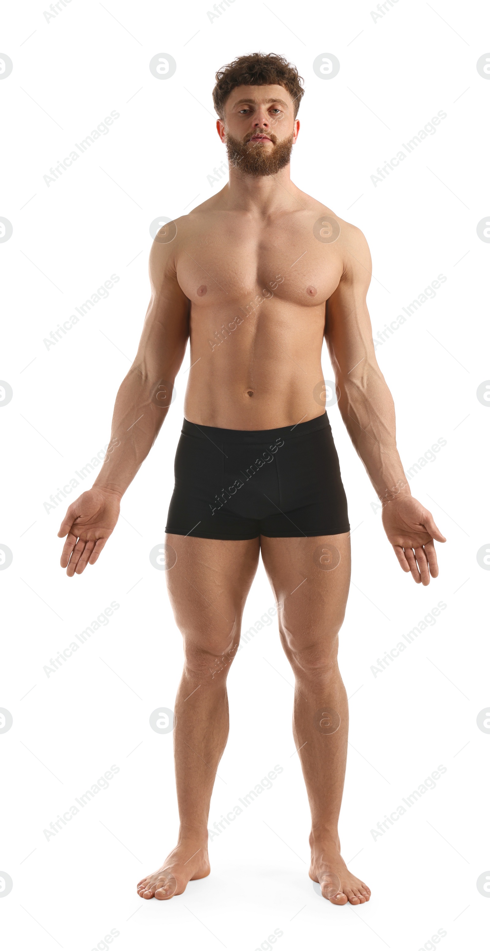 Photo of Handsome man with muscular body on white background