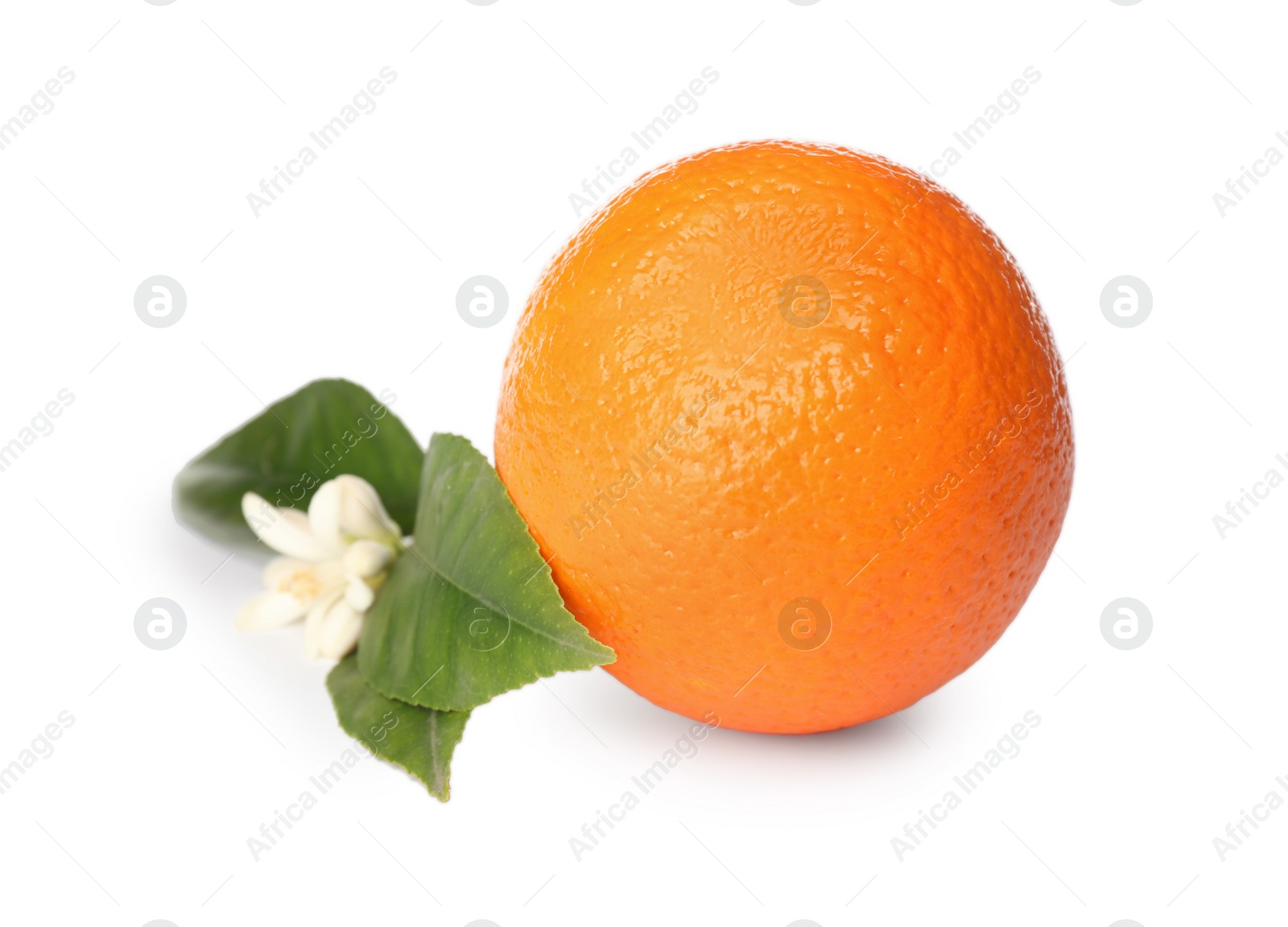 Photo of Fresh ripe orange with green leaves and flower on white background