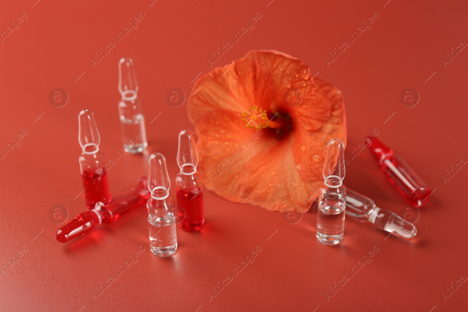 Photo of Skincare ampoules and hibiscus flower on coral background