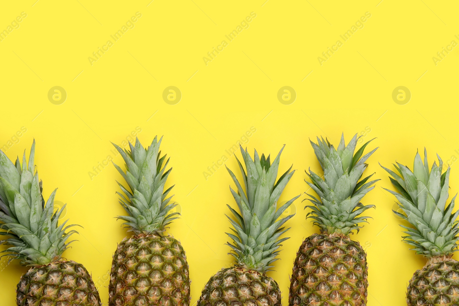 Photo of Whole ripe pineapples on yellow background, flat lay. Space for text