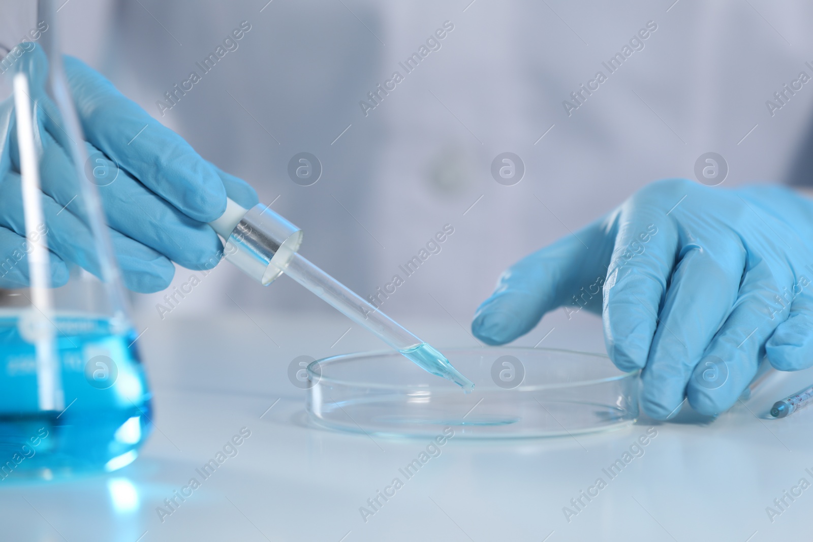 Photo of Scientist dripping liquid from pipette into petri dish in laboratory, closeup