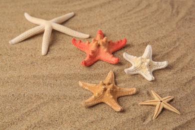 Many beautiful different sea stars on sand