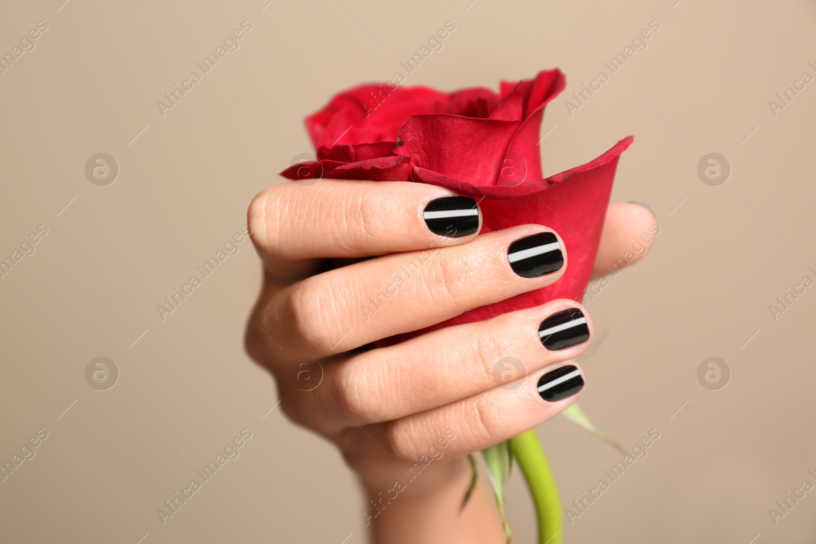 Photo of Woman with black manicure holding rose on color background, closeup. Nail polish trends