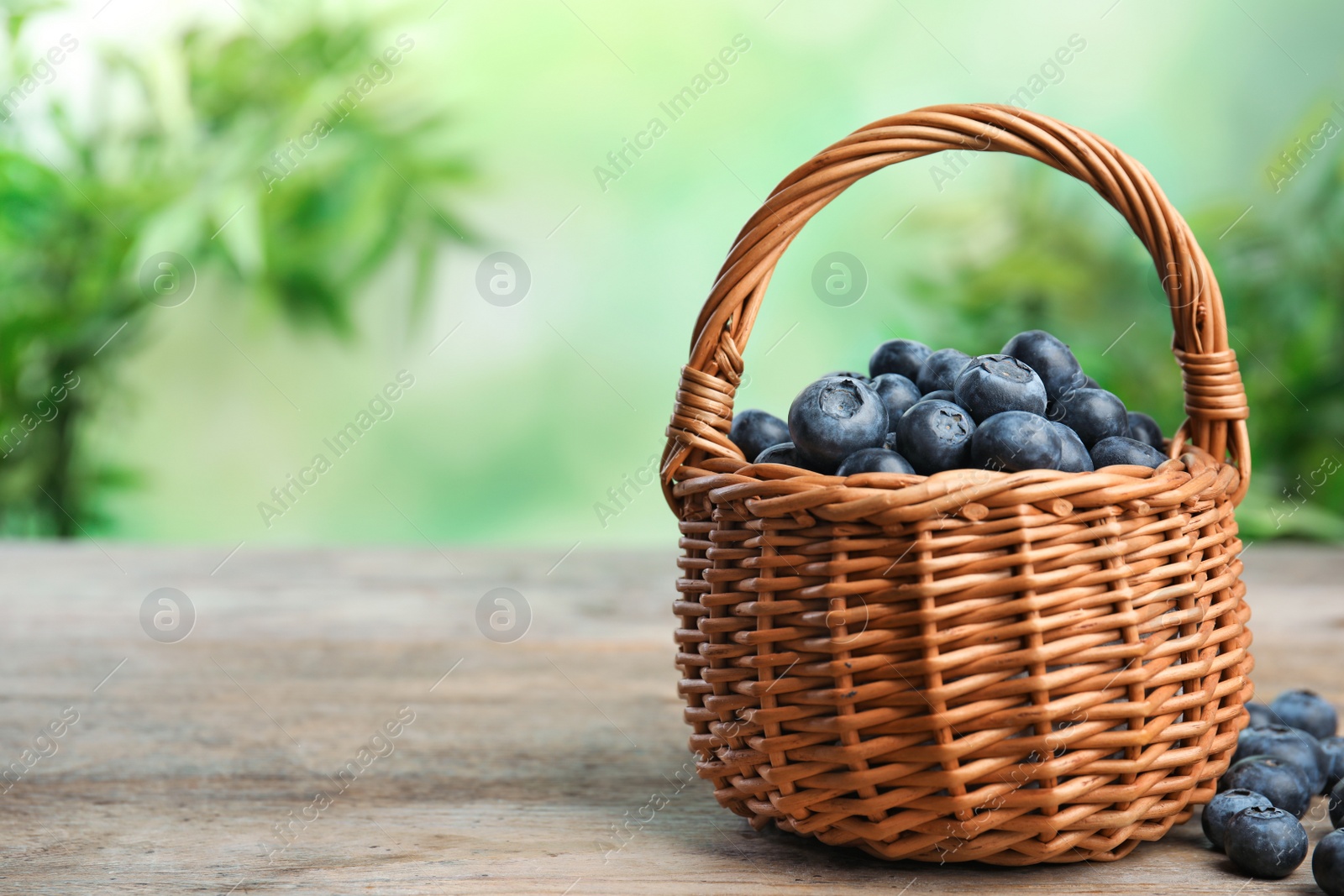 Photo of Wicker basket with fresh blueberries on wooden table against blurred green background, space for text