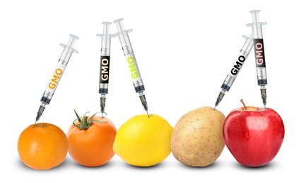 Image of Syringes with labels GMO in different fruits and vegetables on white background