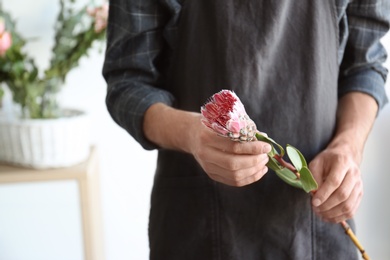 Photo of Male florist holding beautiful flower, closeup