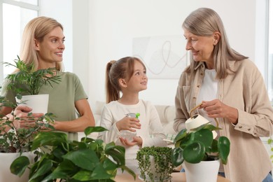 Photo of Three generations. Happy grandmother, her daughter and granddaughter watering houseplants at home