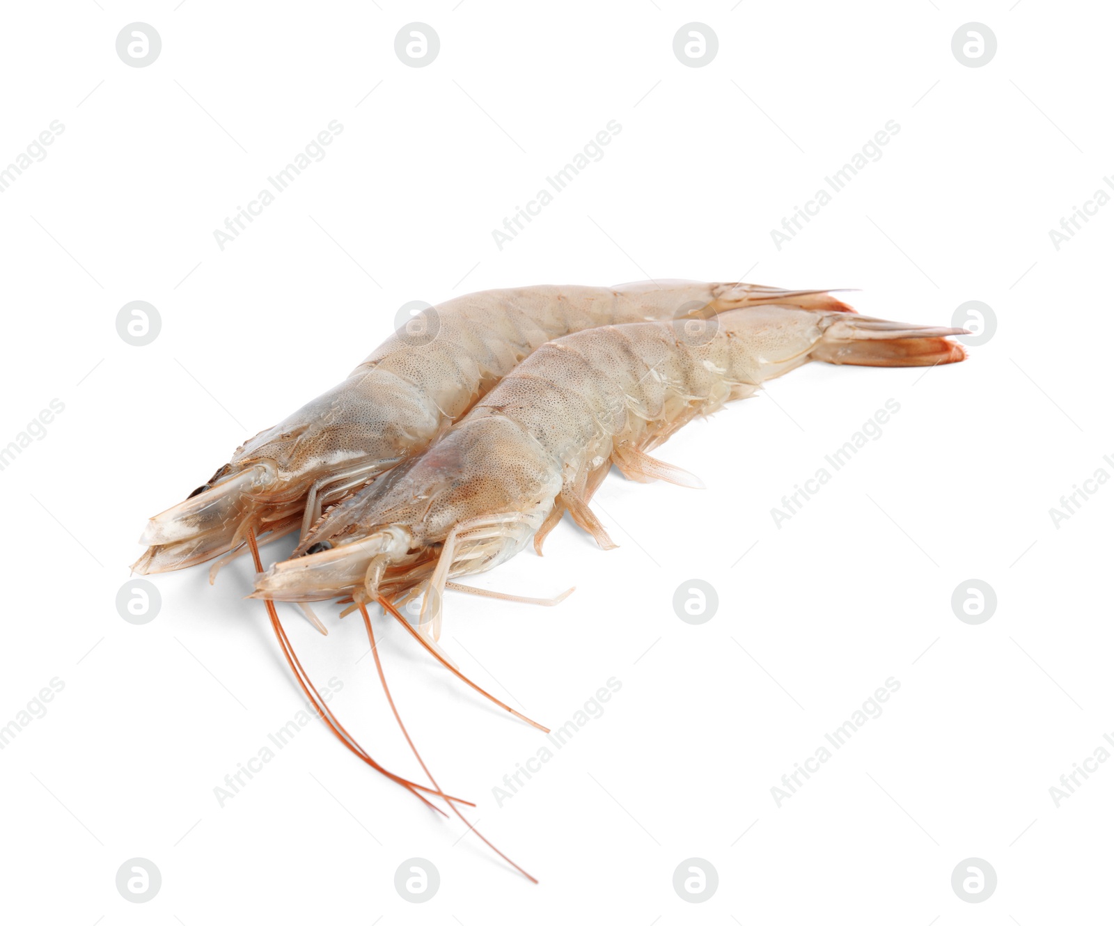 Photo of Fresh raw shrimps isolated on white. Healthy seafood