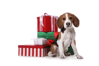 Photo of Cute Beagle puppy and Christmas presents on white background. Adorable pet