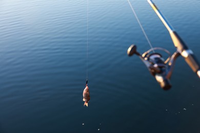 Photo of Fishing rod with catch at riverside on sunny day