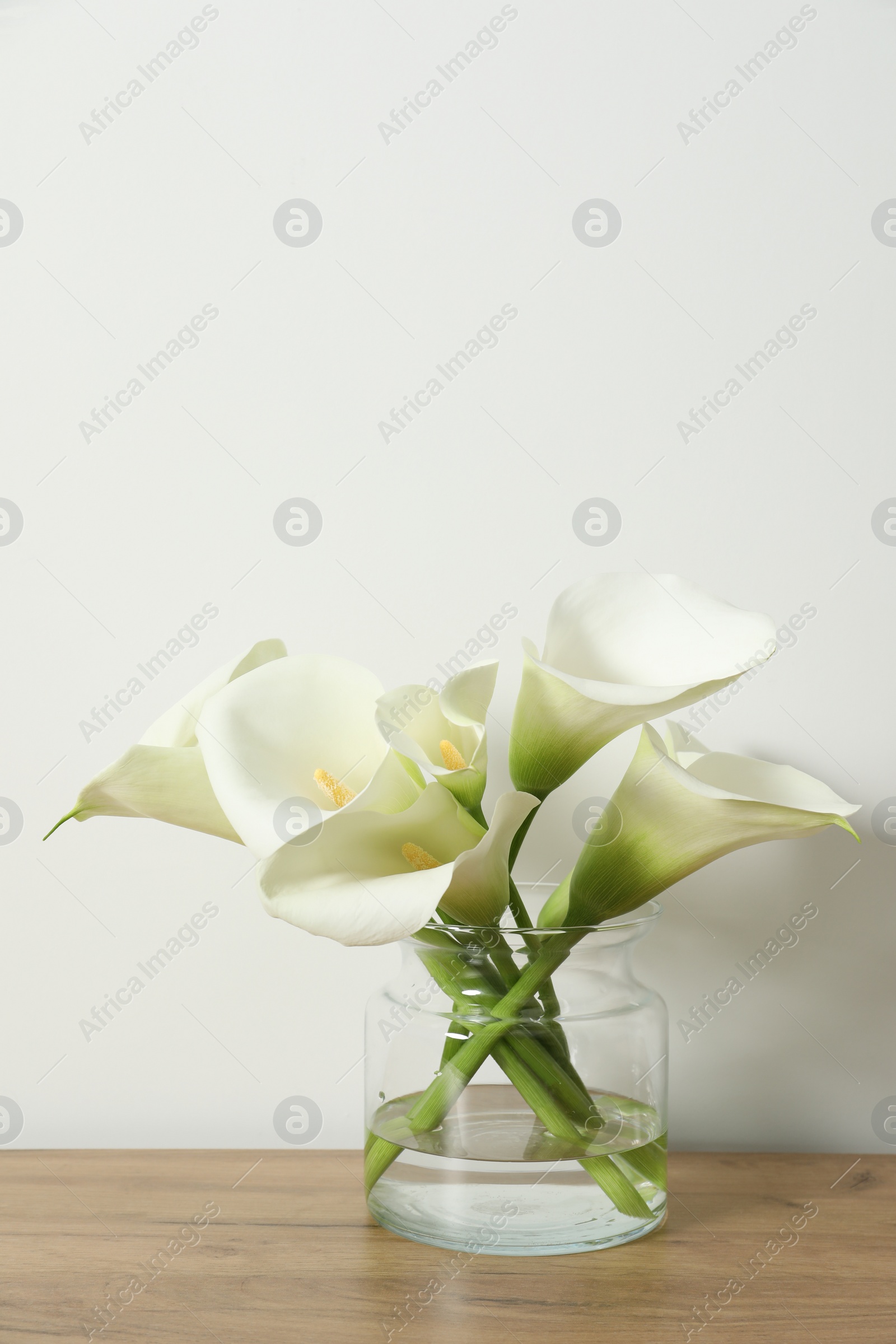 Photo of Beautiful calla lily flowers in glass vase on wooden table near white wall