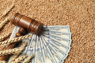 Photo of Dollar banknotes, wooden gavel and wheat ears on grains, closeup. Agricultural business