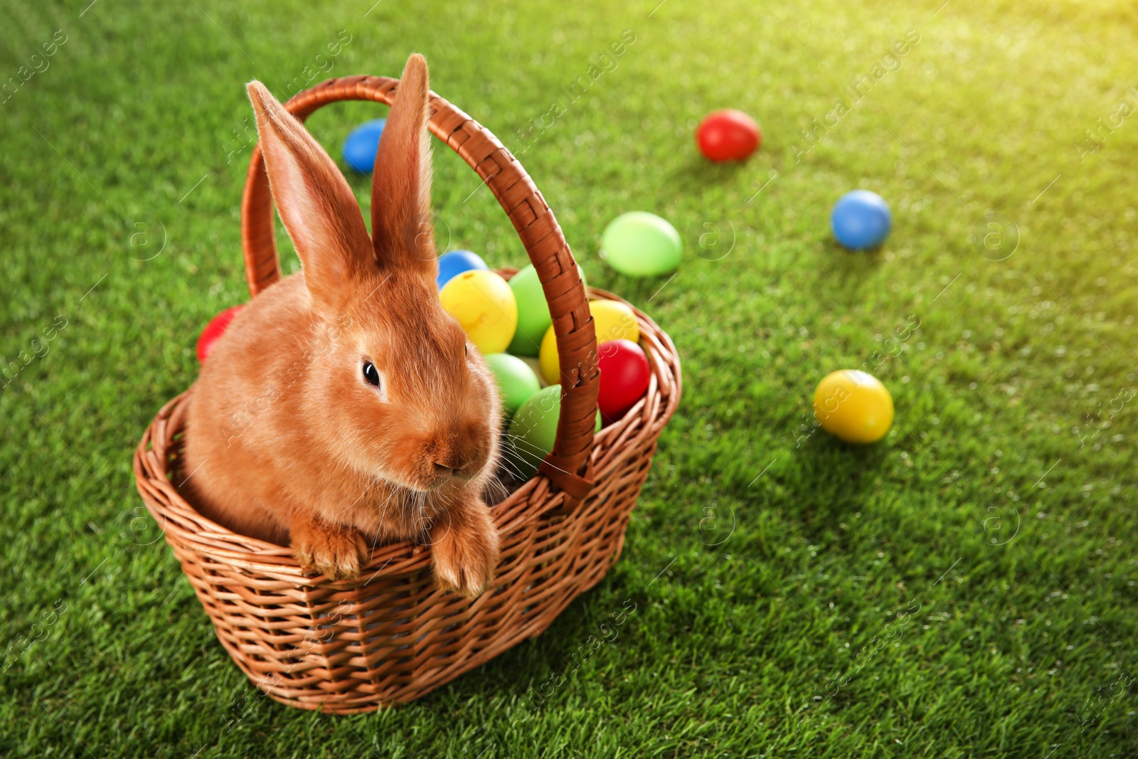 Photo of Cute bunny and Easter eggs on green grass