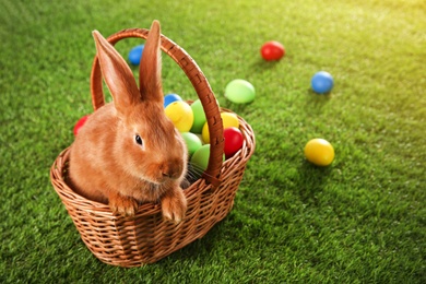 Cute bunny and Easter eggs on green grass