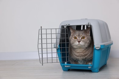 Travel with pet. Cute cat in carrier on floor near white wall indoors, space for text