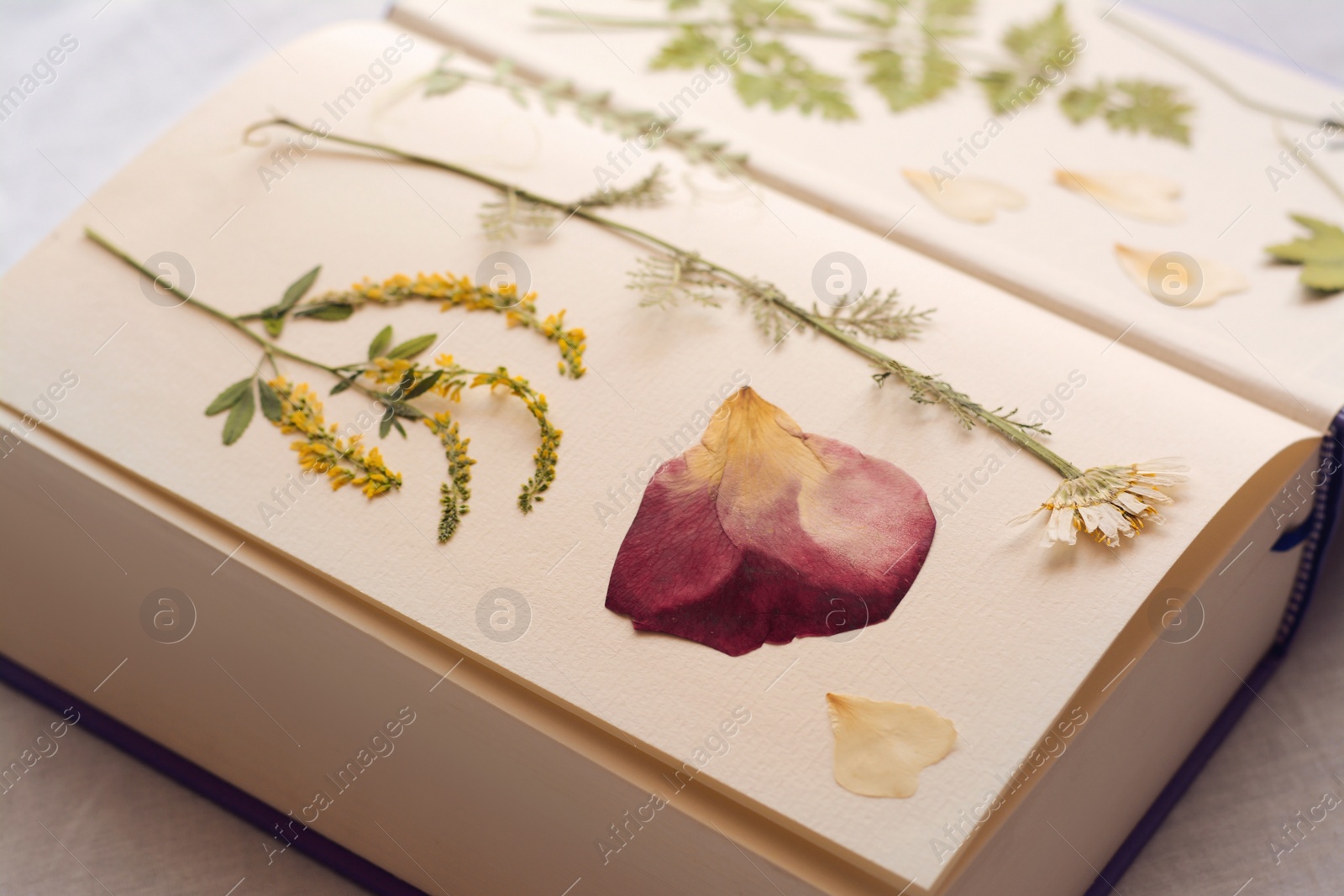 Photo of Book with dried flowers and leaves on white fabric, closeup