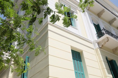 Beautiful building and green tree outdoors on sunny day, low angle view