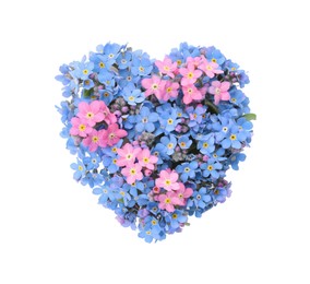 Heart made with beautiful Forget-me-not flowers isolated on white