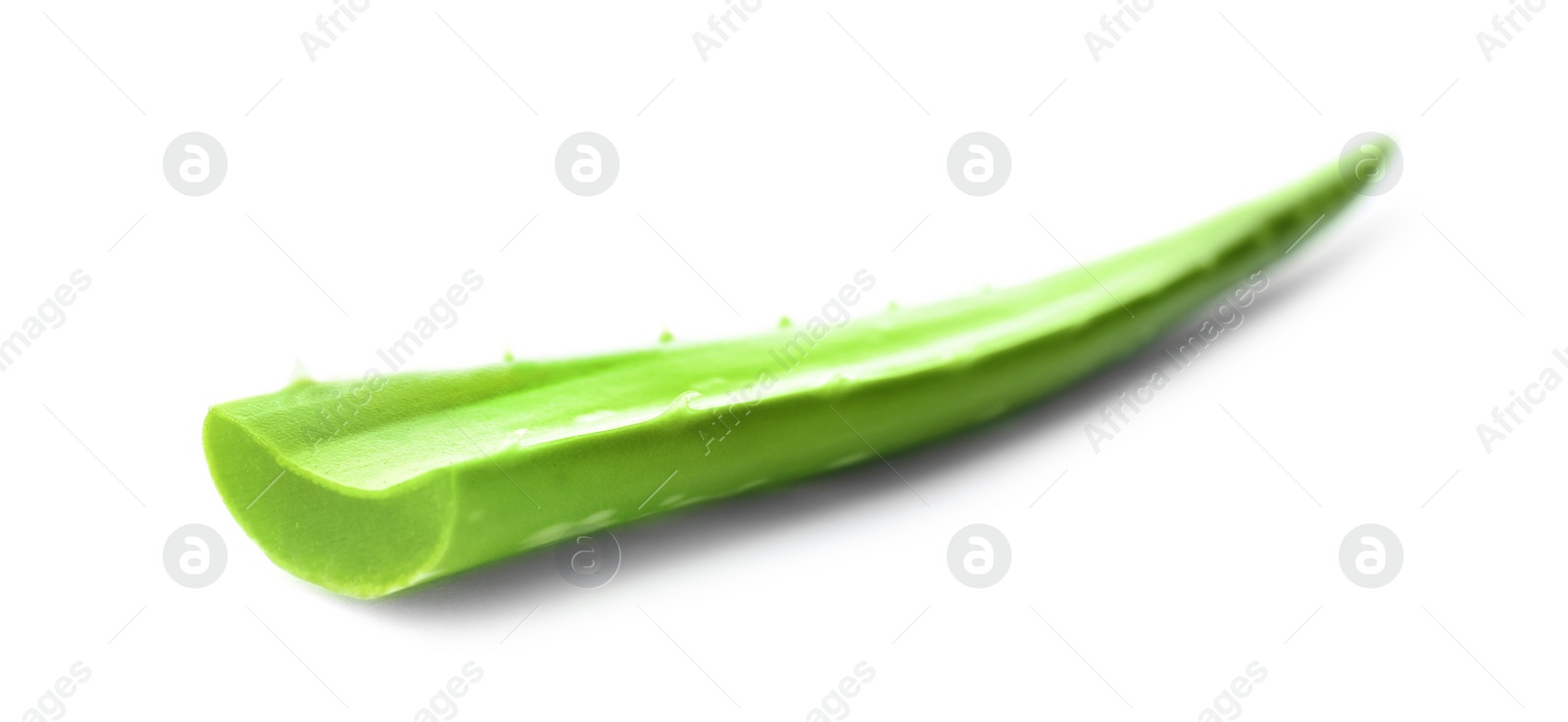 Photo of Aloe vera leaf on white background