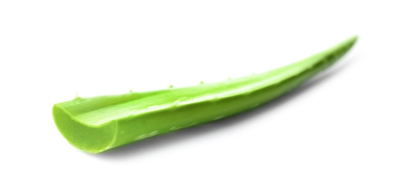 Photo of Aloe vera leaf on white background