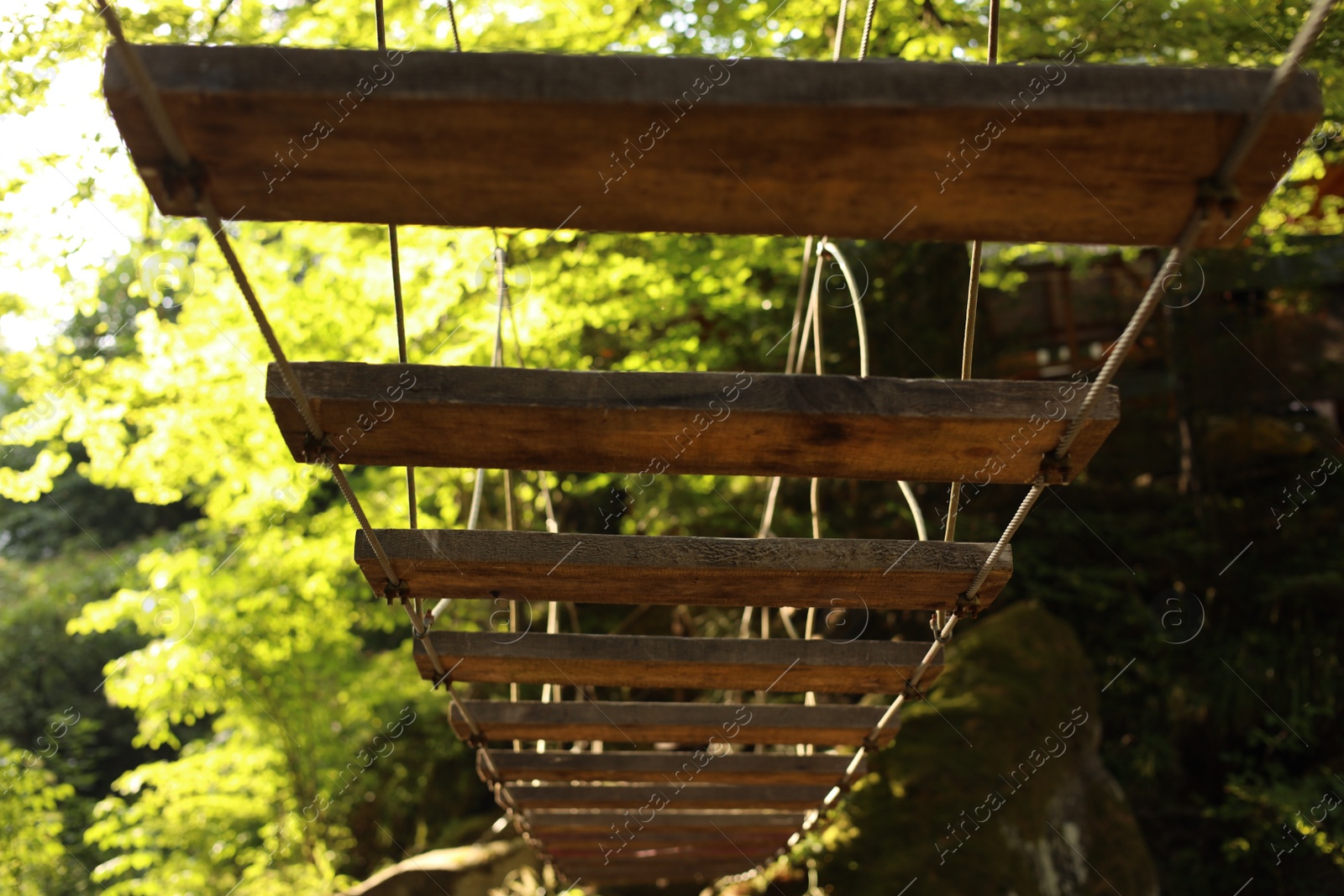 Photo of Wooden suspension bridge in park, view from below