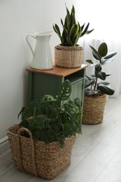 Photo of Different tropical plants in wicker pots near white wall at home