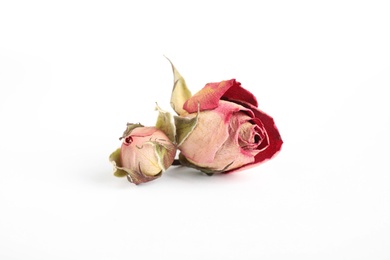 Photo of Beautiful dry rose flowers on white background