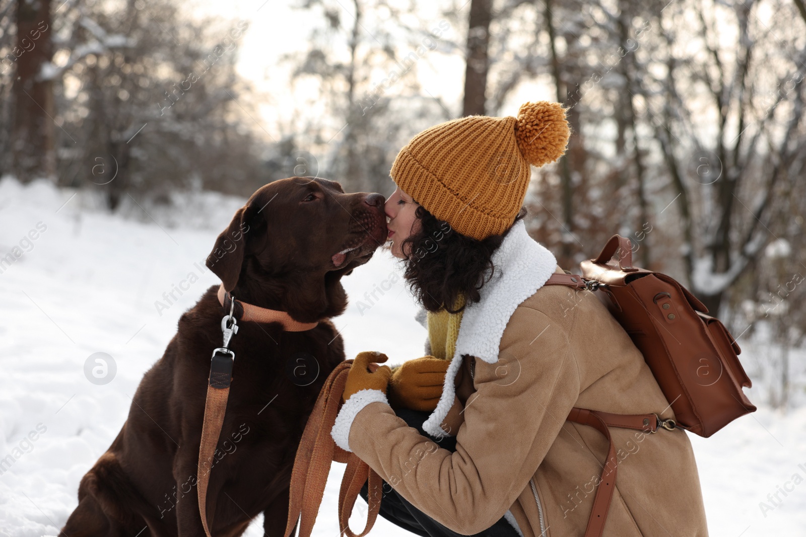 Photo of Woman with adorable Labrador Retriever dog in snowy park