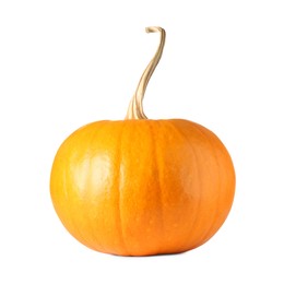 One fresh orange pumpkin isolated on white