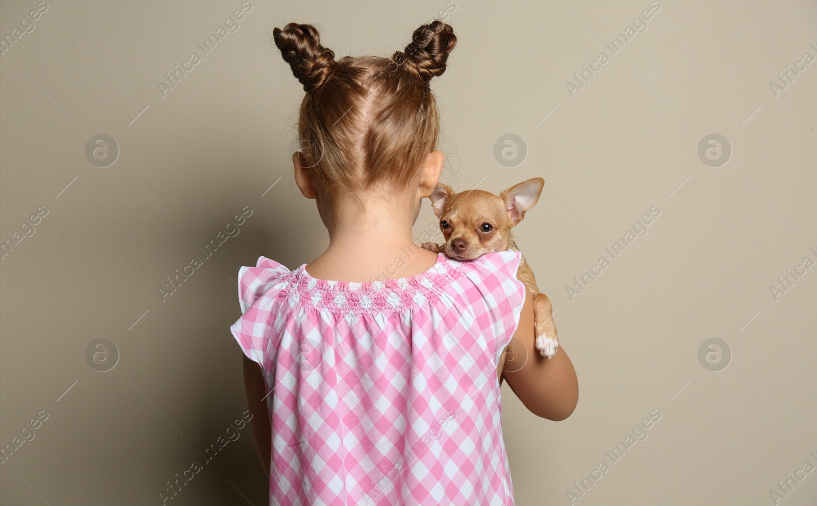 Photo of Little girl with her Chihuahua dog on grey background, back view. Childhood pet