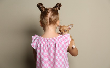 Photo of Little girl with her Chihuahua dog on grey background, back view. Childhood pet
