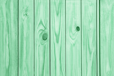 Texture of wooden surface as background. Image toned in mint color 