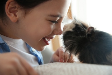 Happy little girl with guinea pig at home, closeup. Childhood pet