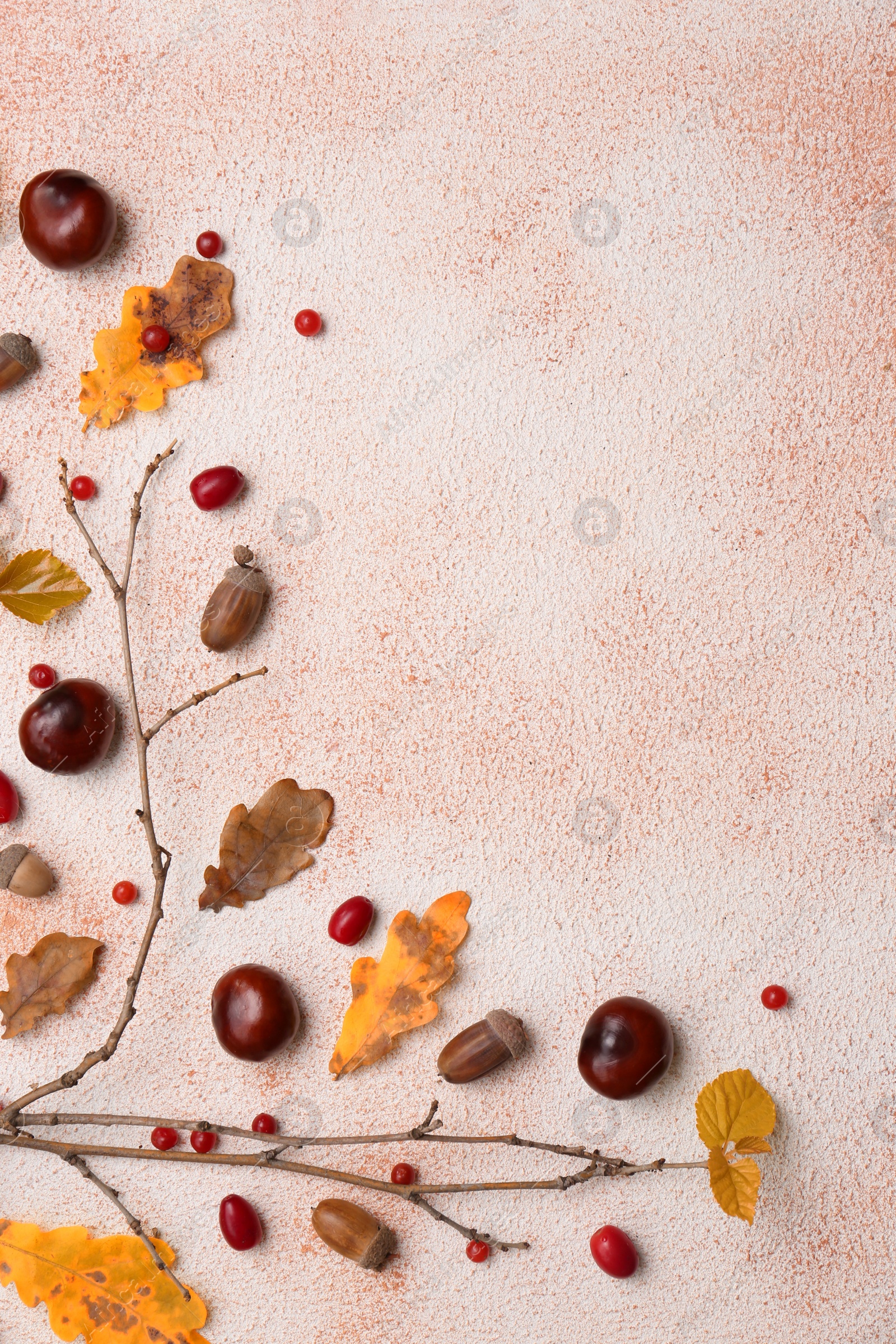 Photo of Composition with autumn dry leaves, acorns, chestnuts, branch and red berries on color background, flat lay. Space for text