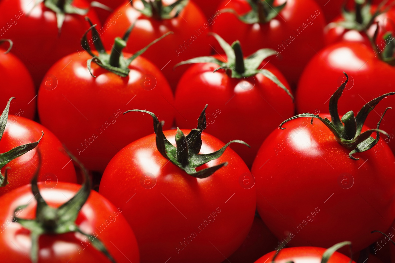 Photo of Delicious ripe cherry tomatoes as background, closeup. Organic food