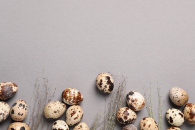 Photo of Speckled quail eggs and dry herbs on light grey background, flat lay. Space for text
