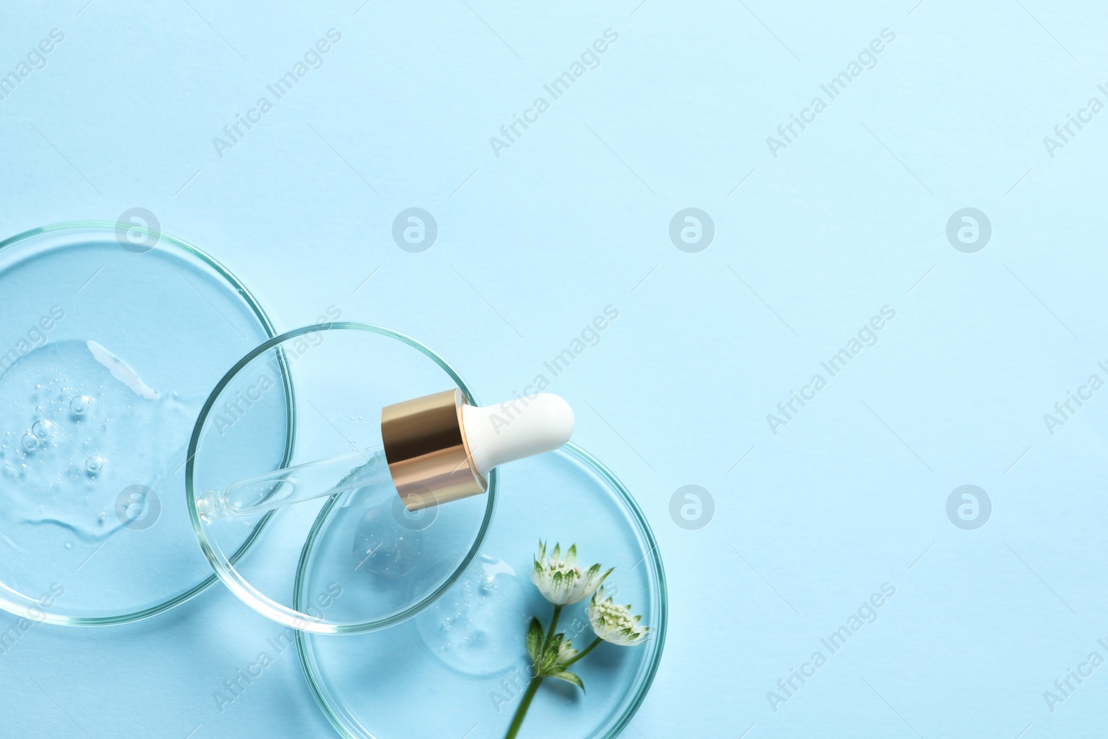 Photo of Petri dishes with samples of cosmetic oil, pipette and beautiful flowers on light blue background, flat lay. Space for text