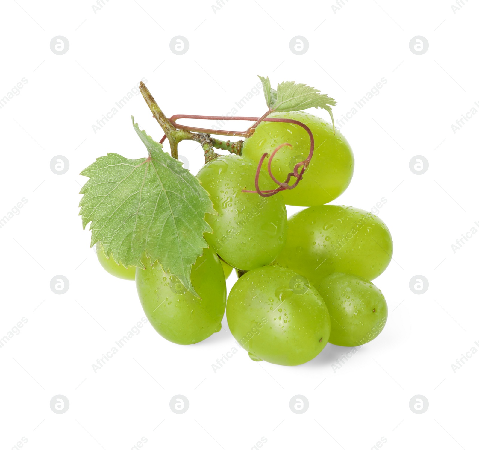 Photo of Fresh grapes with leaves and water drops isolated on white